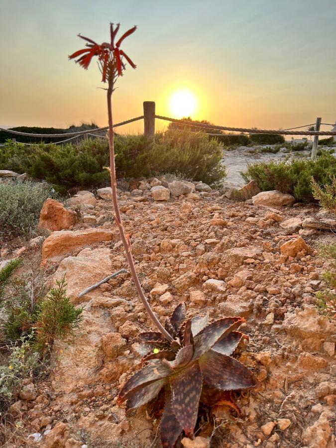 Arenas Del Mar Formentera Villa Es Arenals Dış mekan fotoğraf