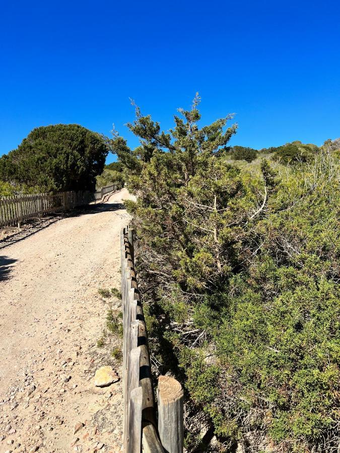 Arenas Del Mar Formentera Villa Es Arenals Dış mekan fotoğraf